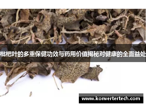 枇杷叶的多重保健功效与药用价值揭秘对健康的全面益处