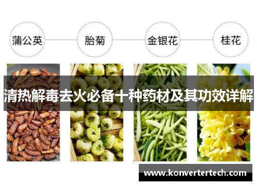 清热解毒去火必备十种药材及其功效详解