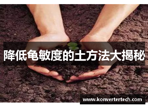 降低龟敏度的土方法大揭秘